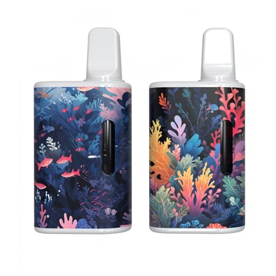 Produttore di kit di vaporizzazione ricaricabile con olio CBD, di buona qualità Prodotti di dispositivi di vaporizzazione dalla Cina